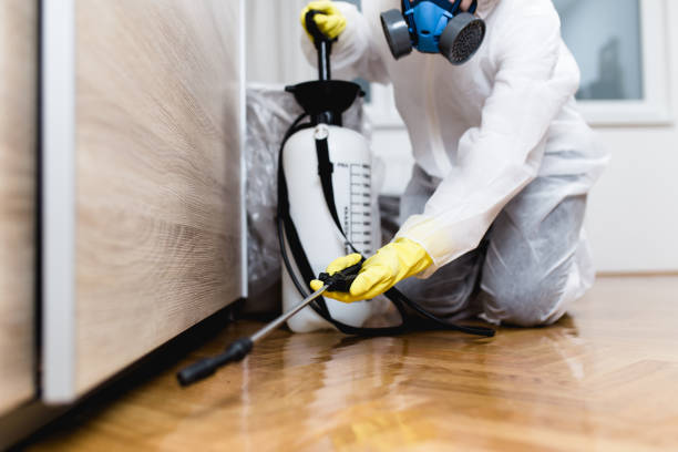 Best Pest Inspection Near Me  in St Martins, MO