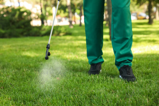 Best Commercial Pest Control Services  in St Martins, MO