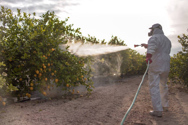 Professional Pest Control in St Martins, MO